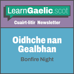Oidhche nan Gealbhan | Bonfire night