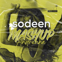 PARTY, PARTY (sodeen MASHUP) [FREE DOWNLOAD]