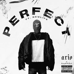 Perfect feat. NEWL1FE