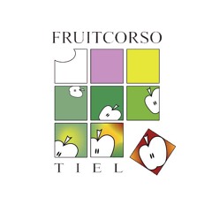 Fruitcorso 2025 Corsoclub Culemborg