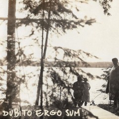 dubito ergo sum