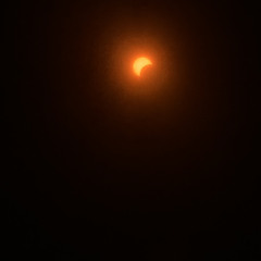 4-5683-968