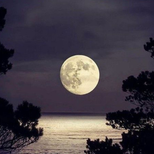 𝚌𝚊𝚕𝚕𝚒𝚗𝚐 𝚘𝚞𝚝 𝚝𝚘 𝚢𝚘𝚞☽