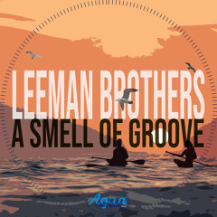A Smell Of Groove (TshegoTMM Mix)