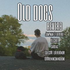 I Guess We'll Never Know