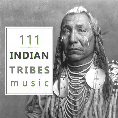 Island of Trees: Meditation Music