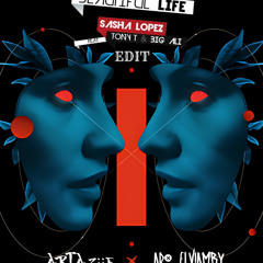 BEAUTIFULL  LIFE (ARTAZIIE - ADO ELVIAMRY) EDIT