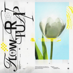 Tulip Flower