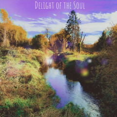 Delight of the Soul (Lo-Fi)