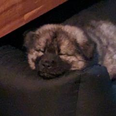 Marburg Neurofunksalon