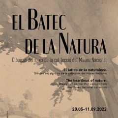 Morning Birds in The Cowichan Valley, Vancouver Island BC - ijegxx | freesound.org