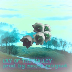 Major Maynot - LILY OF THE VALLEY