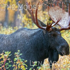 The Moose