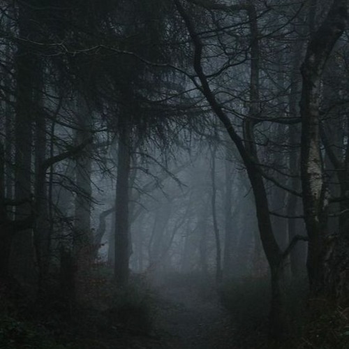 Solo  w/@sugumotorola (P. Xero)