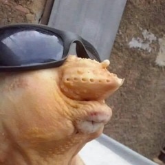 قولو قوللو ( اوللو ) من فيلم كركر