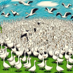 Geese (2023) - Broken Frames Syndicate