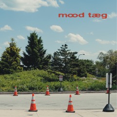 Mood Taeg: Happiness Fragment (Danke Version)
