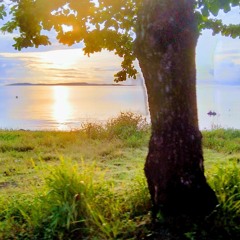 FAiR 🌋🎼🎧 • ɴᴏʀᴍᴀɴi ' 2∅22 sʏʟᴀᴀʜ ʀᴇᴍix