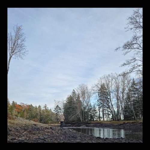 let me go (ft. Gainz)