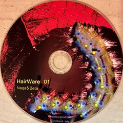 HairWare01(Naga&Beta2006)