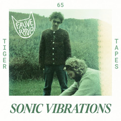 Tiger Tapes 065 - Sonic Vibrations