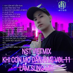 NST VIETMIX 2024 KHI CƠN MƠ DẦN PHAI VOL 11 LÂM SUNG MIX. TỔNG HỢP NHẠC BUỒN VÀ TÂM TRẠNG HAY NHẤT.