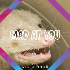 Lil Gibber - Mad At You