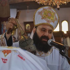 ابونا مينا سامي - صلاة الصلح و أفراحي يا مريم | Fr. Mina Samy - Reconciliation & Efrahi ya Mariam
