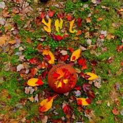 other side of the moon