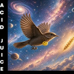 Welcoming a Bird - Mastered