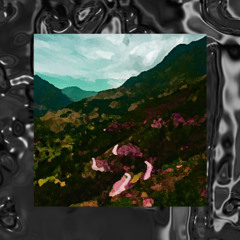 im not a soundcloud rapper im a fcuking artist