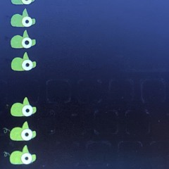 Sznn