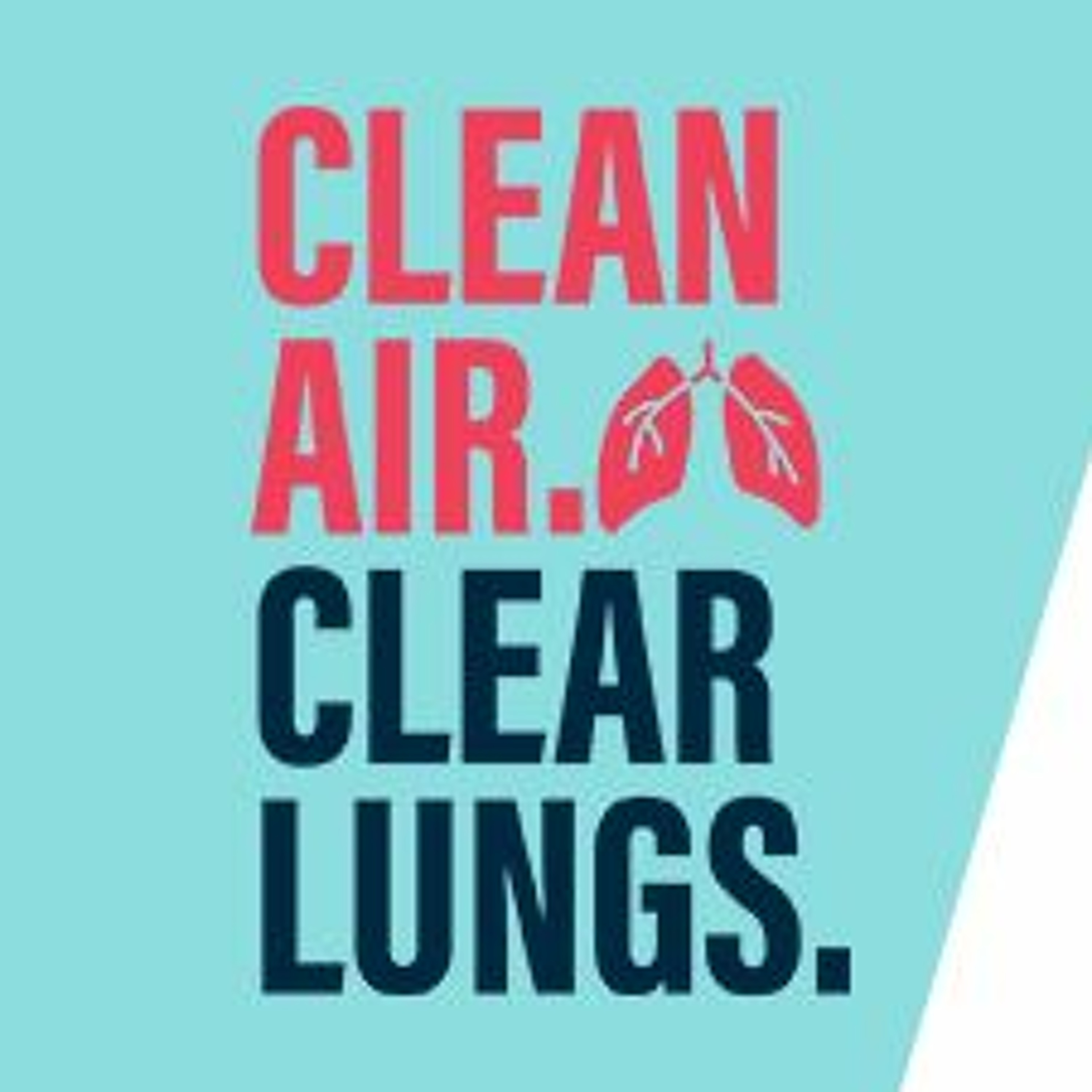 Clean Air. Clean Lungs. - Michelle Baxter - Audio Grab 6