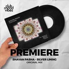 PREMIERE: Shayan Pasha ─ Silver Lining (Original Mix) [Polyptych Noir]