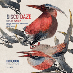 Disco Daze - Cove of Kumbha (Original Mix)