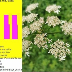 Constallationz : la matinale ! Phytoglue (extrait)