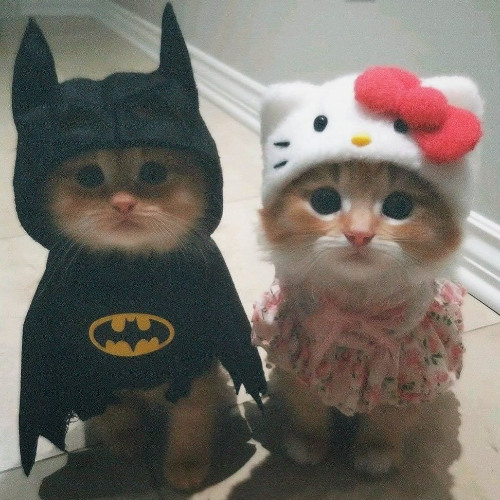 ебанутые люди..