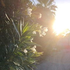 morton6rove-noway prod. nvy