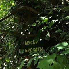 без названия