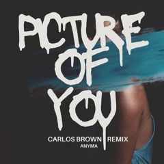 Anyma - picture of you ( Carlos Brown REMIX)
