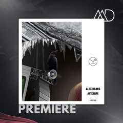PREMIERE: Alex Banks - Afterlife [Last Night On Earth]