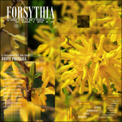 Forsythia - with Eswyn, Syberlilly, & jtpck