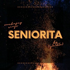 Señorita -((G)I-DLE) (cover)