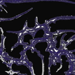 NrusT X Vinayaka- Ritual vivaldi Op. 1 No. 2 echos of despair