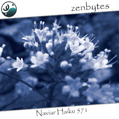 petals sifting down - Naviarhaiku571