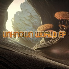 Unknown World