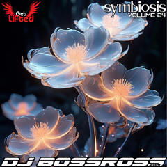 Symbiosis #24 - Best of Organic House