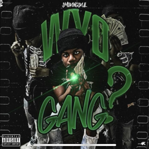 Smokingskul - FUNK DA NETFLIX (Netflix & Chill) [Prod. Kingn8]