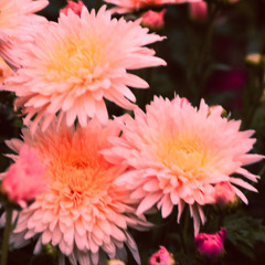 mindownful - nice to meet you