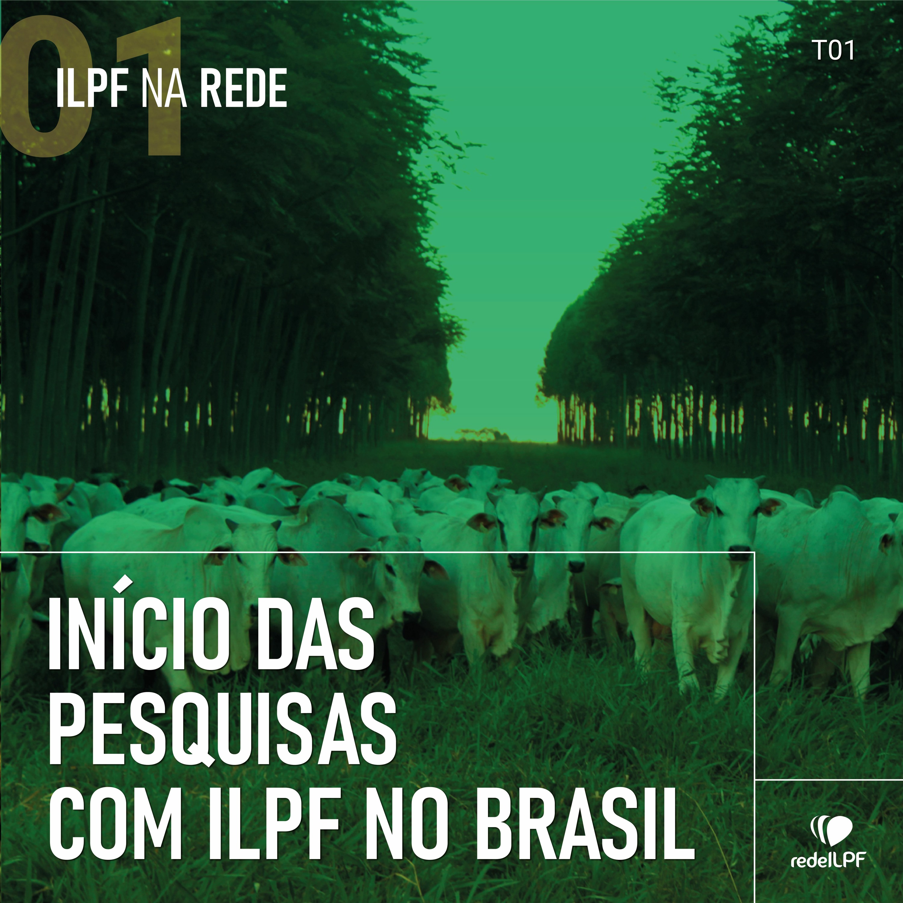 ILPF Na Rede